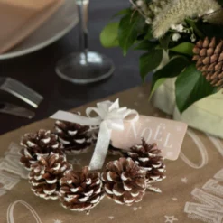 10 Nœuds à Tirer Blanc Pailleté - Viva La Fiesta 5 10 Nœuds à Tirer Blanc Pailleté - Viva La Fiesta -Déguisement boutique 10 noeuds a tirer paillete blanc 2