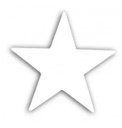 Sachet D'étoile Holographique Blanche - Viva La Fiesta