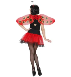 Set D'accessoires Coccinelle - Viva La Fiesta -Déguisement boutique 3725 Set daccessoires coccinelle