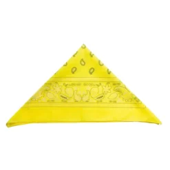 Bandana Fluo Imprimé - Viva La Fiesta