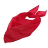 Bandana Rouge En Tissu - Viva La Fiesta