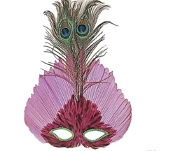 Loup Avec Grandes Plumes - Viva La Fiesta -Déguisement boutique 4227 Loup avec grandes plumes