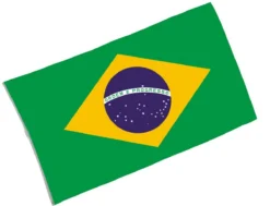 Drapeau Du Brésil 90x150 Cm - Viva La Fiesta