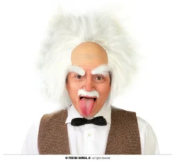 Perruque De Savant Fou Blanche - Viva La Fiesta